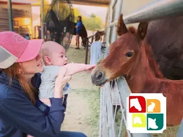 Therapeutic Ranch for Animals & Kids (TRAK)